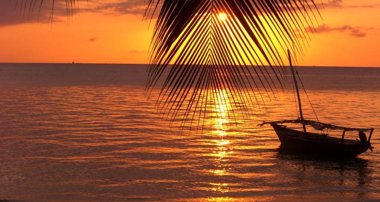 Retraite Blossom Bliss : Zanzibar - Culture Holidays Private Limited 2