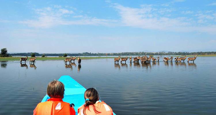 Touristen in einem Boot beobachten Antilopen, die im Wasser stehen.