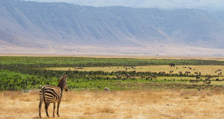 Tanzania & Zanzibar (Accommodated) - 10 days - On The Go Tours 1