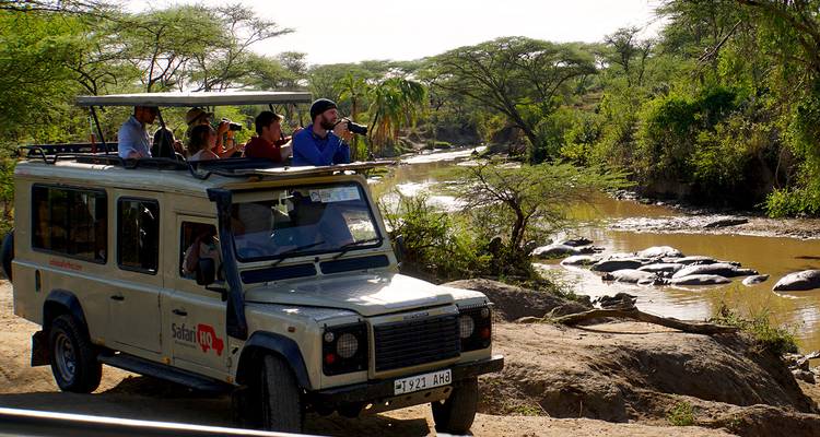Ein Safari-Fahrzeug mit Menschen, die Flusspferde in einem Fluss beobachten.