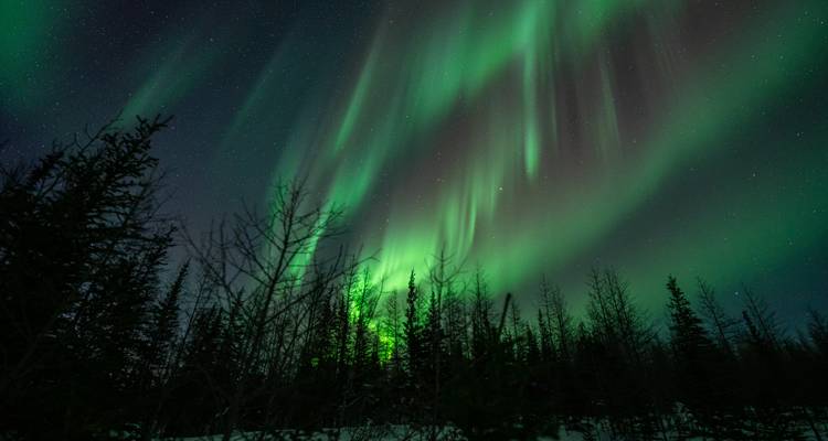 Northern Lights and Winter Nights in Churchill Manitoba - Frontiers North Adventures 1