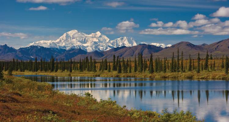 Alaska Discovery Land & Cruise avec une croisière de 7 nuits de Holland America (de Fairbanks, AK à Vancouver, BC) (2026) - Collette 1
