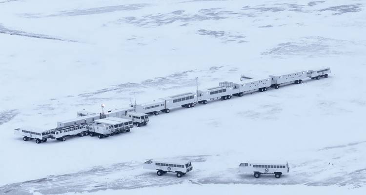 Osos polares en Churchill y el Tundra Buggy Lodge - Frontiers North Adventures 1