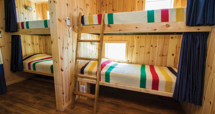 Osos polares en Churchill y el Tundra Buggy Lodge - Frontiers North Adventures 6