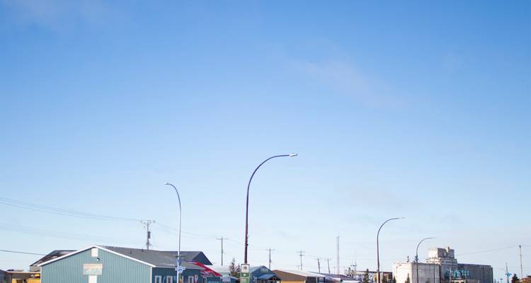 Osos polares en Churchill y el Tundra Buggy Lodge - Frontiers North Adventures 9