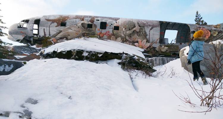 Osos polares en Churchill y el Tundra Buggy Lodge - Frontiers North Adventures 10