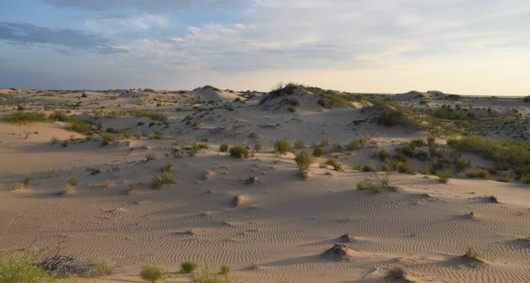 Kazakhstan horse riding adventure - Yellowwood Adventures Ltd 5