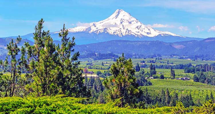Pacific Northwest & California comprenant Washington, Oregon et Californie (de Seattle, WA à San Francisco, CA) (2026) - Collette 2
