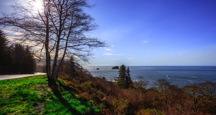 Pacific Northwest & California comprenant Washington, Oregon et Californie (de Seattle, WA à San Francisco, CA) (2026) - Collette 8