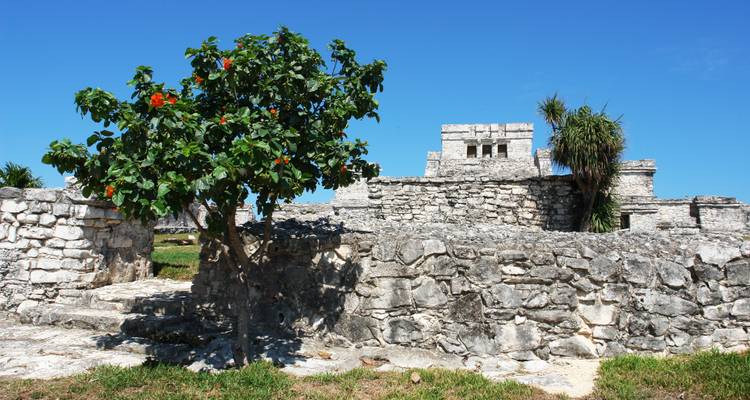 Baja and Yucatan by rental car - avenTOURa 4