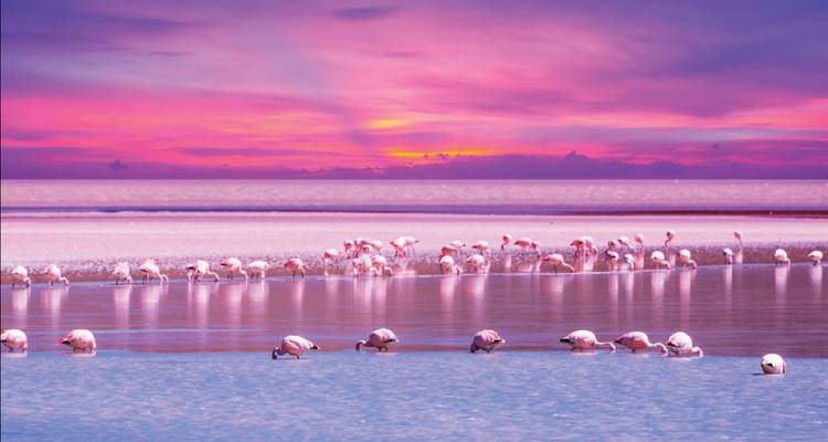6 Days Atacama Desert & Uyuni Express: A Journey Through Otherworldly Landscapes - Responsible Travel South America 6