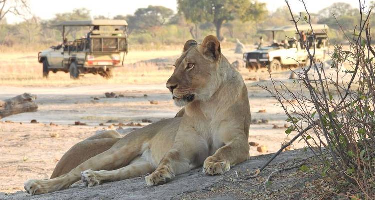 Zimbabwe and Botswana Wildlife Safari - Explore! 3