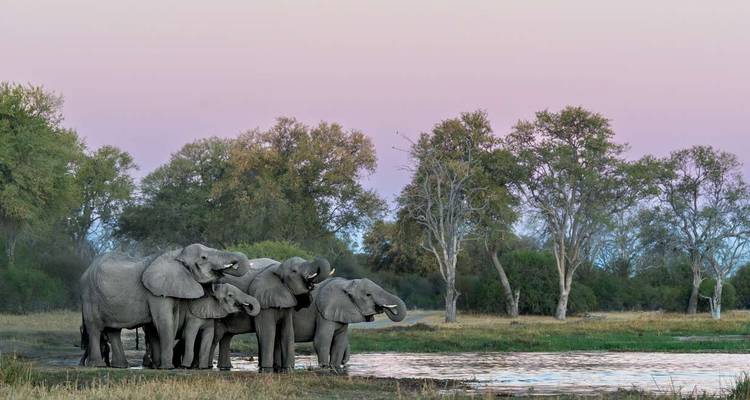 Zimbabwe and Botswana Wildlife Safari - Explore! 9