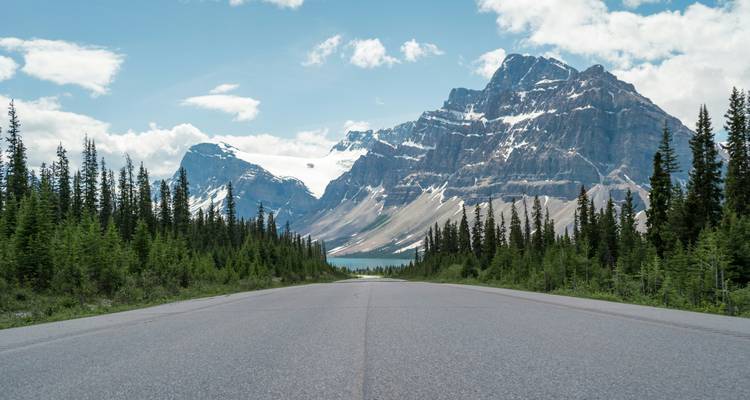 Aventura canadiense Vancouver → Victoria (2026) - Travel Marvel 4