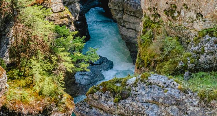 Aventura canadiense Vancouver → Victoria (2026) - Travel Marvel 7