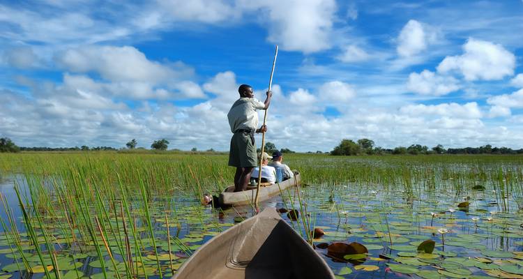 Expreso de 8 días por el Delta del Okavango y Chobe (Camping) - Acacia Adventure Holidays 8