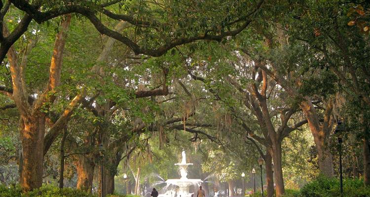 Charme du Sud avec Charleston, Savannah et Jekyll Island (de Charleston, SC à Jekyll Island, GA) (2026) - Collette 2