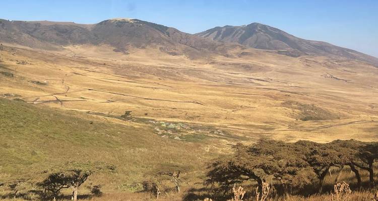 6 Days Private safari in Tanzania - Safari Serengeti Booking 6