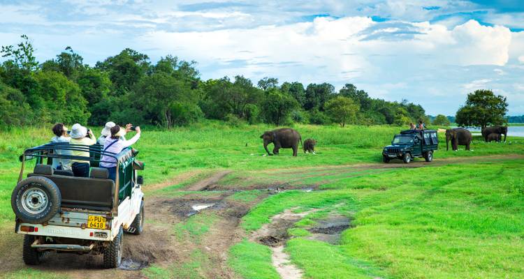 Splendid Sri Lanka - Culture Holidays Private Limited 3