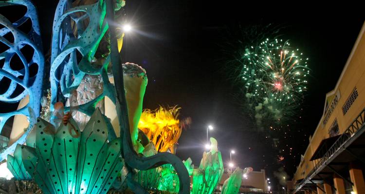 Vive la magia del Carnaval de Río - Signature DMC 6