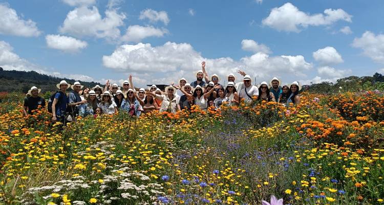 Aventura de 8 días por Bogotá, Eje cafetero y Medellín - Latin Adventures 3