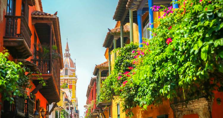 Colombia ida y vuelta - 15 días de viaje privado - Oasis Travel 7