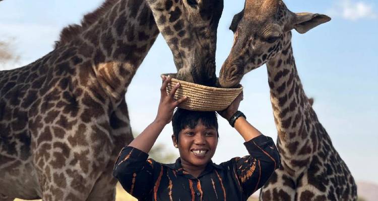 Safari de lujo de 4 días en Serengeti, Ngorongoro y Fauna Serval - Gracepatt Ecotours Kenya 1