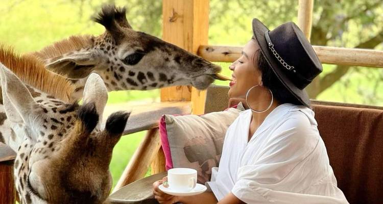 Safari de lujo de 4 días en Serengeti, Ngorongoro y Fauna Serval - Gracepatt Ecotours Kenya 2
