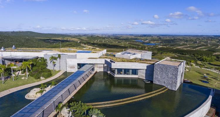 Experiencia de lujo de 6 días en Uruguay y Punta del Este - Responsible Travel South America 9