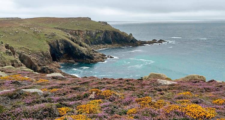 Coastal view with vibrant flowers and ocean waves.