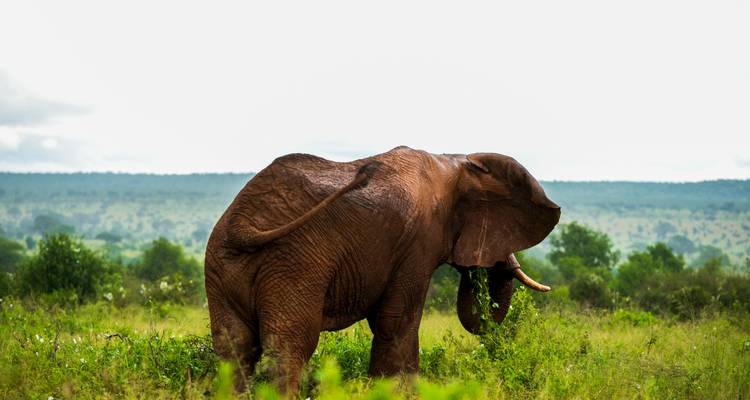 7 Days Serengeti Lodge Safari - Safari Serengeti Booking 4