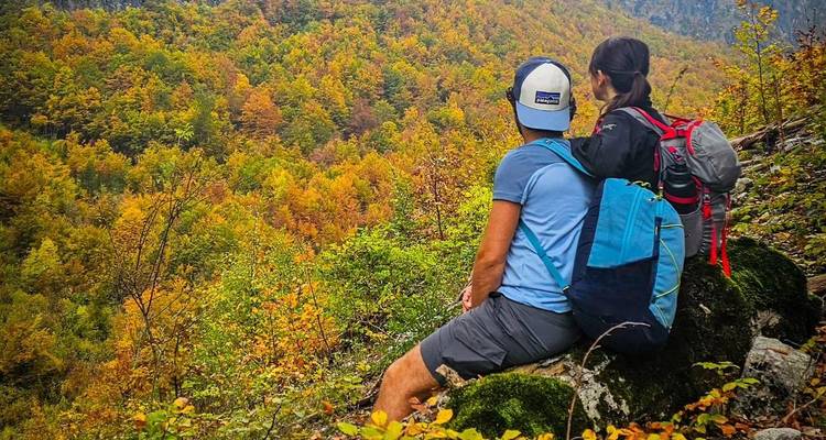 Couple sitting on a rock, overlooking colorful forest.