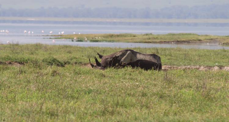 Une semaine à Serengeti, Tanzanie - Safari Serengeti Booking 10