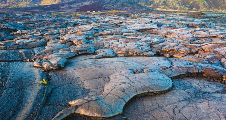 Hardened lava field with cracked surface texture.