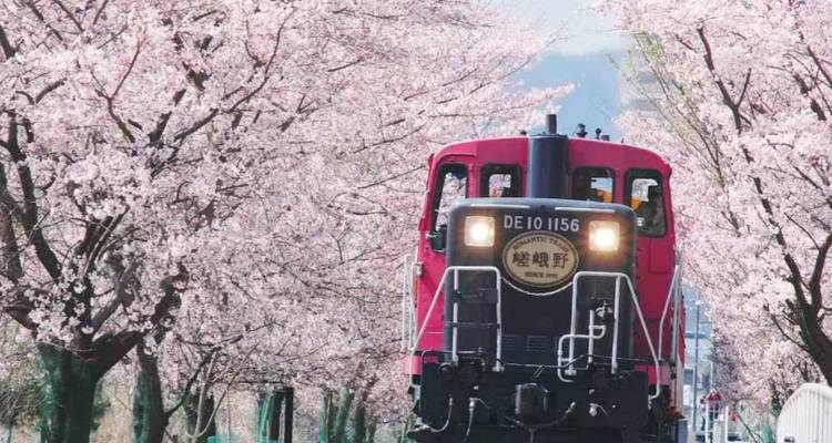 9 jours Japon Essentiel avec enfants de moins de 6 ans (Guide privé et chauffeur) - UME Travel Co. Ltd 8