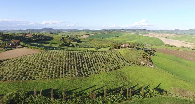 Collines ondulantes et vignobles dans la campagne toscane.