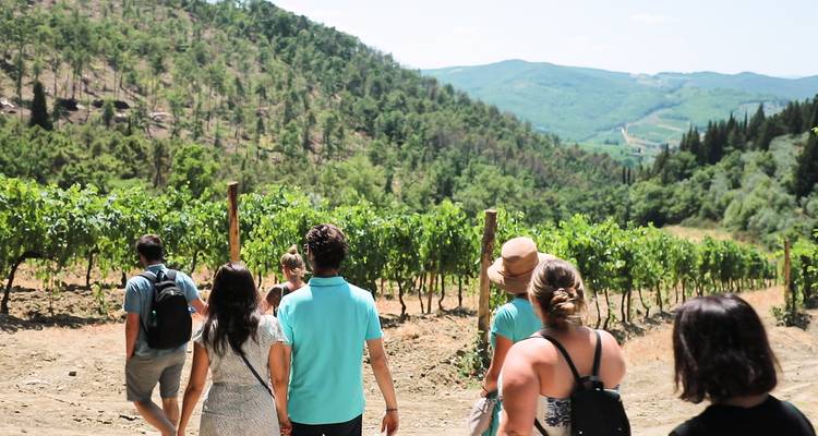 Des touristes se promenant dans un vignoble en Toscane.