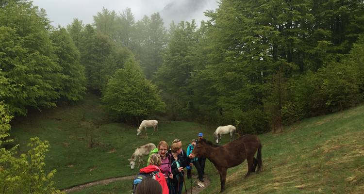 5 Days Private Hiking Tour to Valbona and Thethi - Enjoy Travel and Tours 7