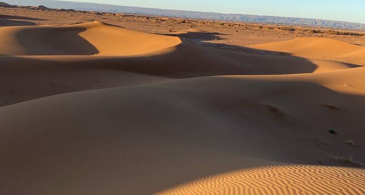 Marruecos Días Brillantes ( sureste y atlántico 7 días) - SAHARA EYES 7