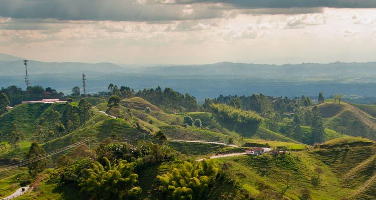 Verdant rolling Colombian coffee hills with farm tracks and distant mountains beneath a brooding sky.