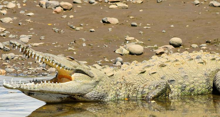 Classic Costa Rica Youth Adventure  - 13 days - On The Go Tours 9