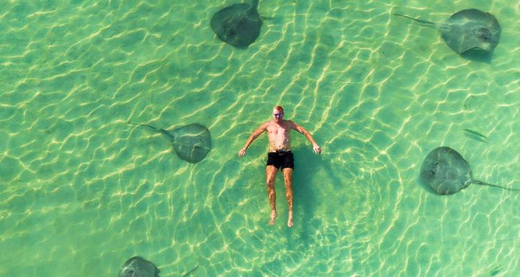 Hombre buceando con rayas en agua cristalina.