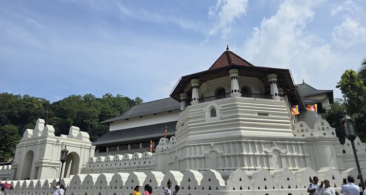 All-in-One Sri Lanka Expedition - Exotic Perla 3