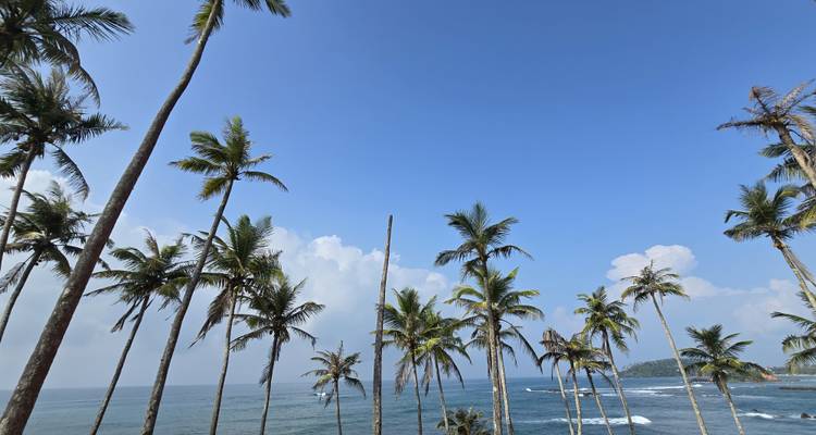 All-in-One Sri Lanka Expedition - Exotic Perla 4