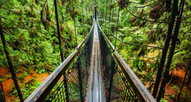 New Zealand Adventure - TruTravels 4