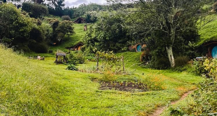 New Zealand Adventure - TruTravels 8