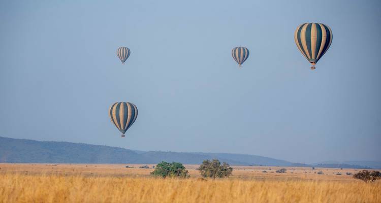 4 Grande migration annuelle des gnous depuis Zanzibar - Safari Serengeti Booking 4
