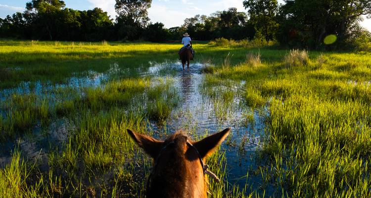 Le sud du Pantanal avec Bonito et Salvador de Bahia - We Travel Discovery 2