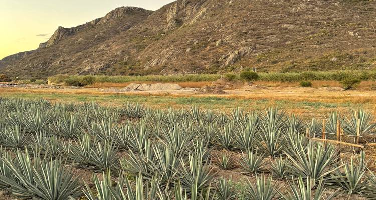 Aventure de 10 jours au Mexique : Mexico, Puerto Escondido, Oaxaca, Hierve el Agua, Chichén Itzá et Tulum - The Dragon Trip 10