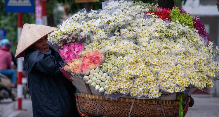 Vietnam Camboya 12 Días - Vietnam Amazing Tours 6